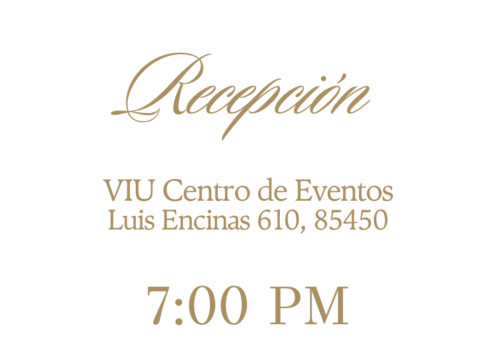 Recepción en VIU Centro de Eventos, 7:00 PM